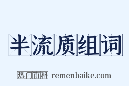 半流质组词是什么意思的图片